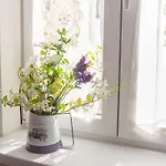 In The Center Of Apartment *