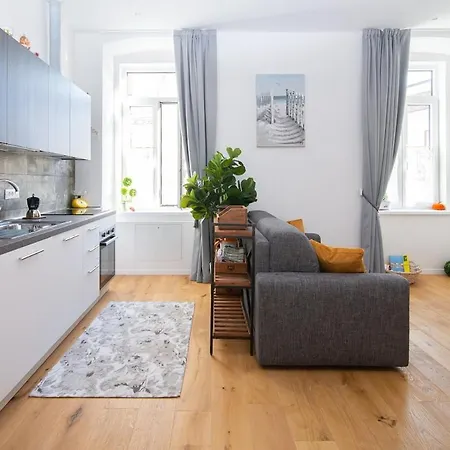 In The Center Of Apartment Triest
