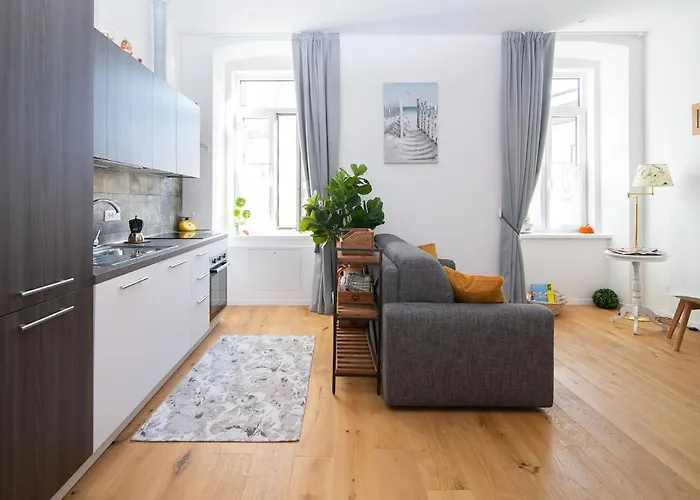 In The Center Of Apartment Triest